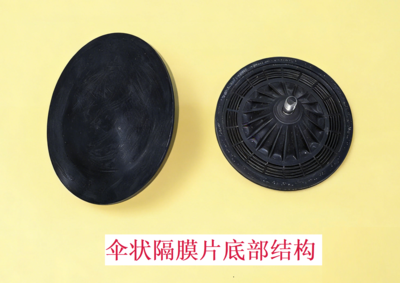 伞状隔膜片结构2(1).png
